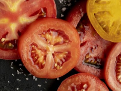 Только 2 сорта помидоров: Отец-огородник сажает только их — и собирает урожай машинами