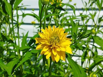 Погодные изменения в Башкирии: улучшение на горизонте