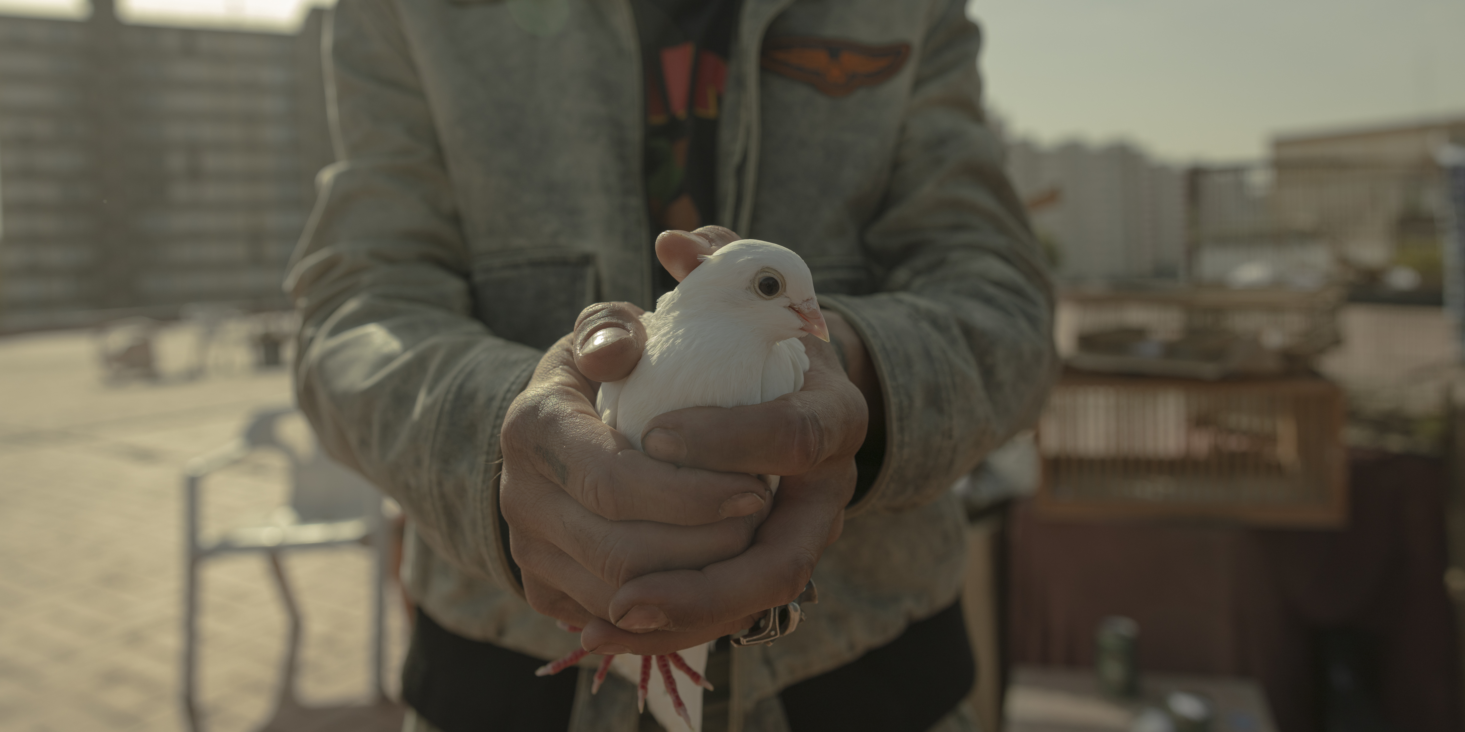 Producción cinematográfica