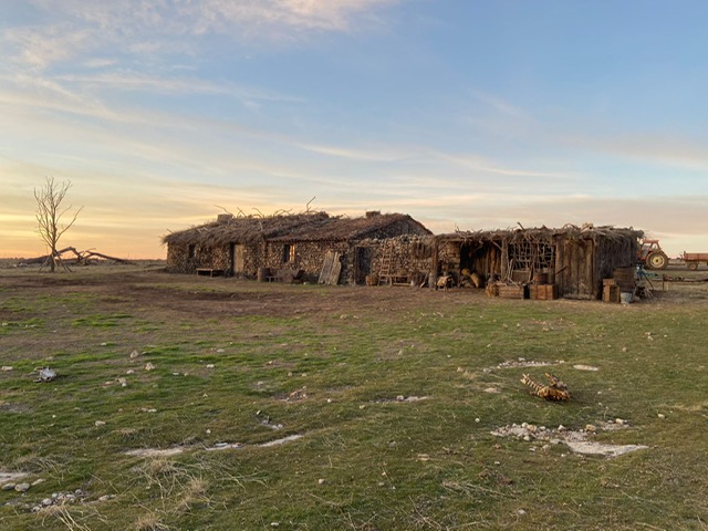 Producción cinematográfica