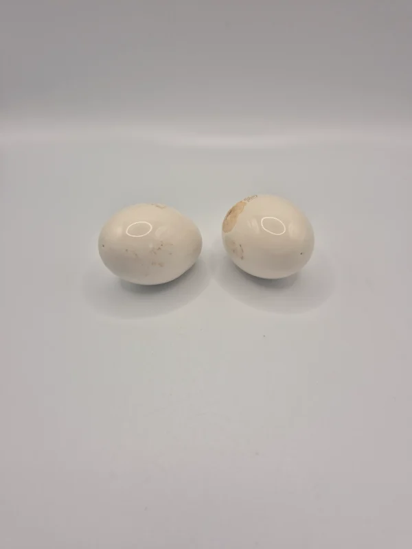 3 Stoneware Eggs