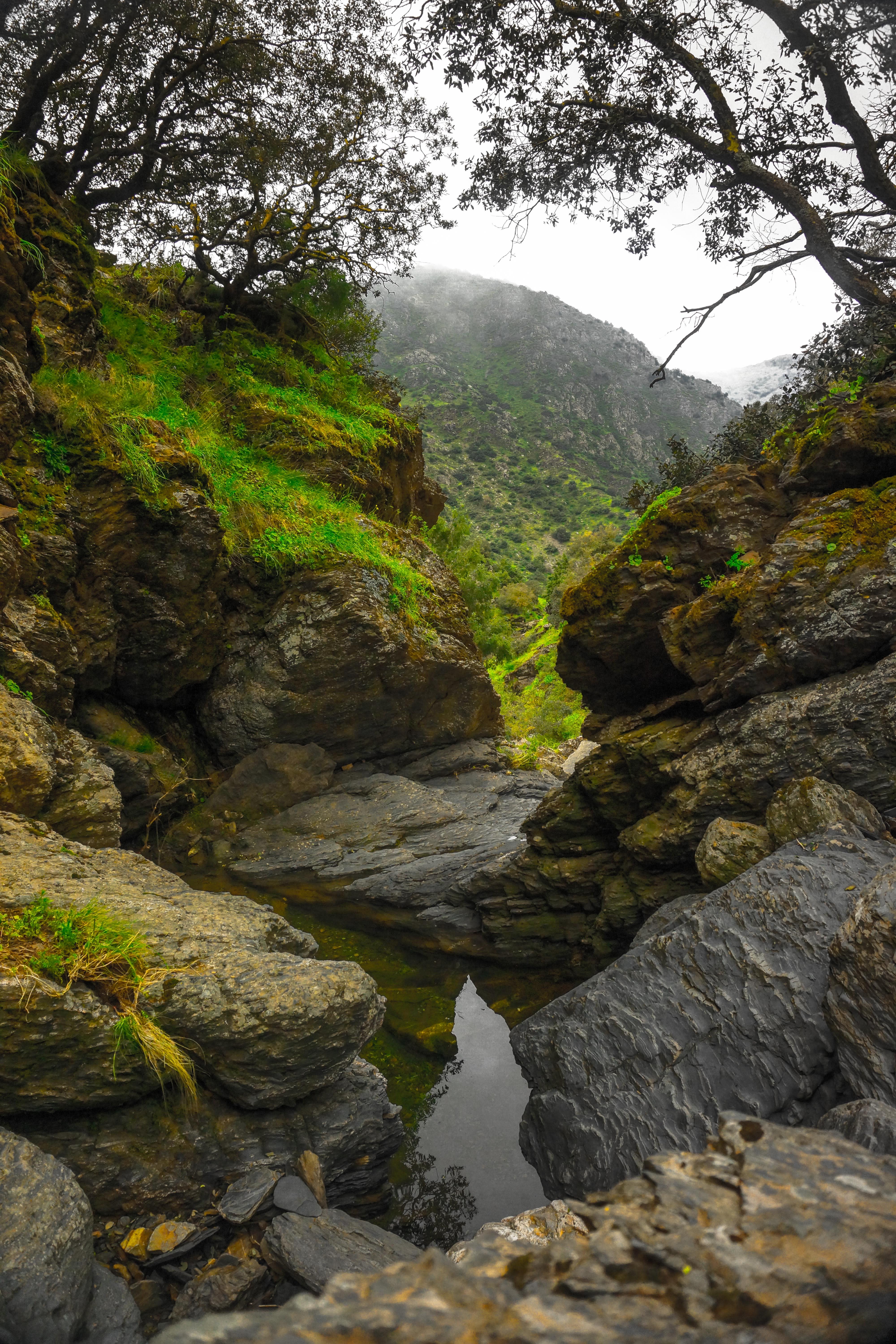 Kerrach Waterfall — Hidden Gem of Chréa