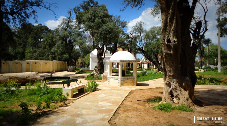 Sidi Yakoub Garden (Mohamed V Garden) — Blida