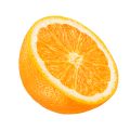 Orange — symbol of Blida's archives