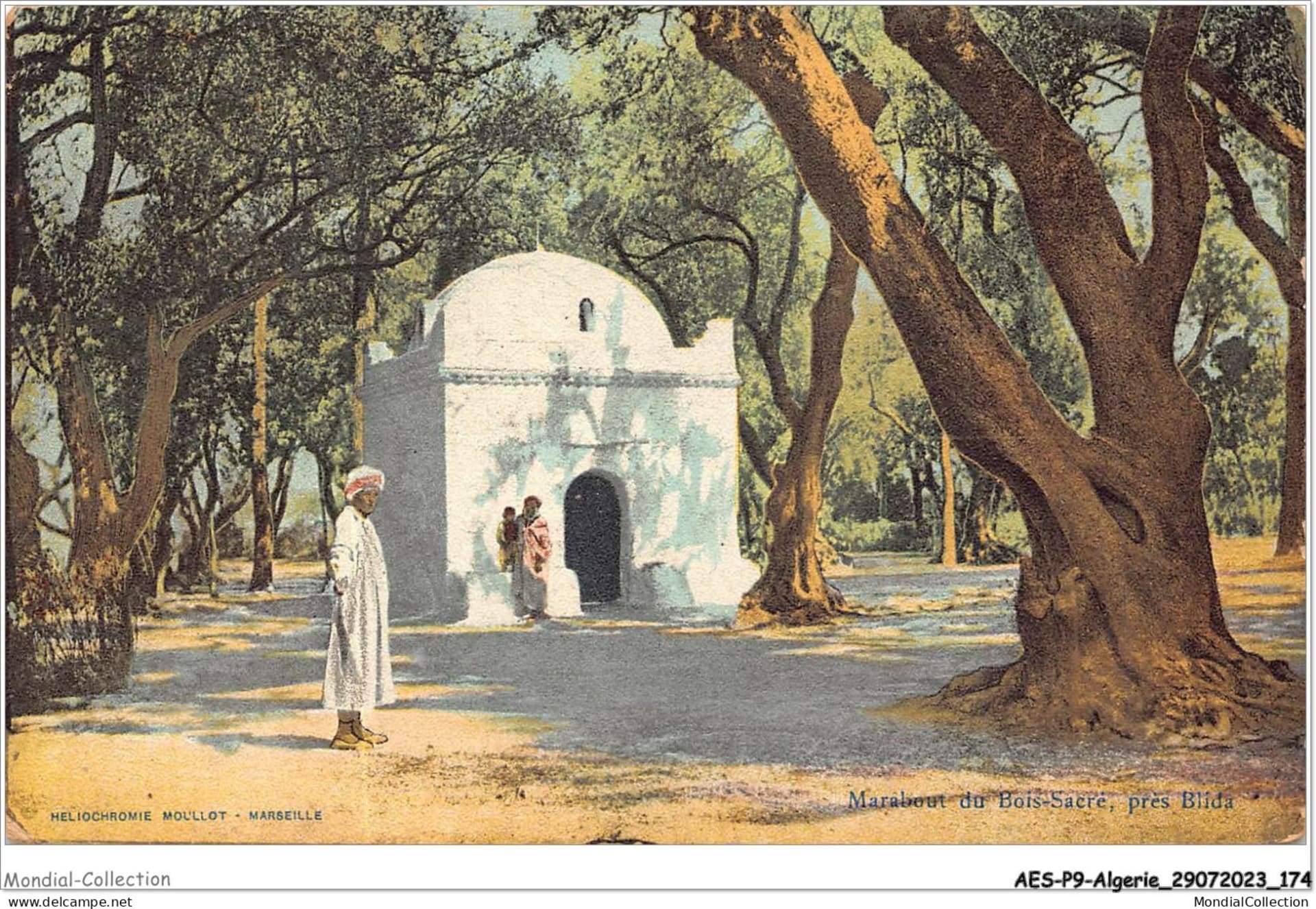 Les Jardins de Blida