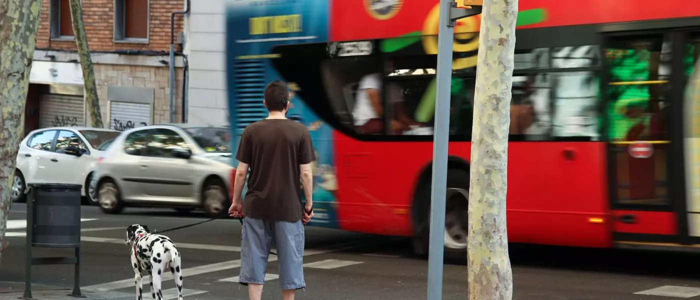 Se puede viajar en subte con perros