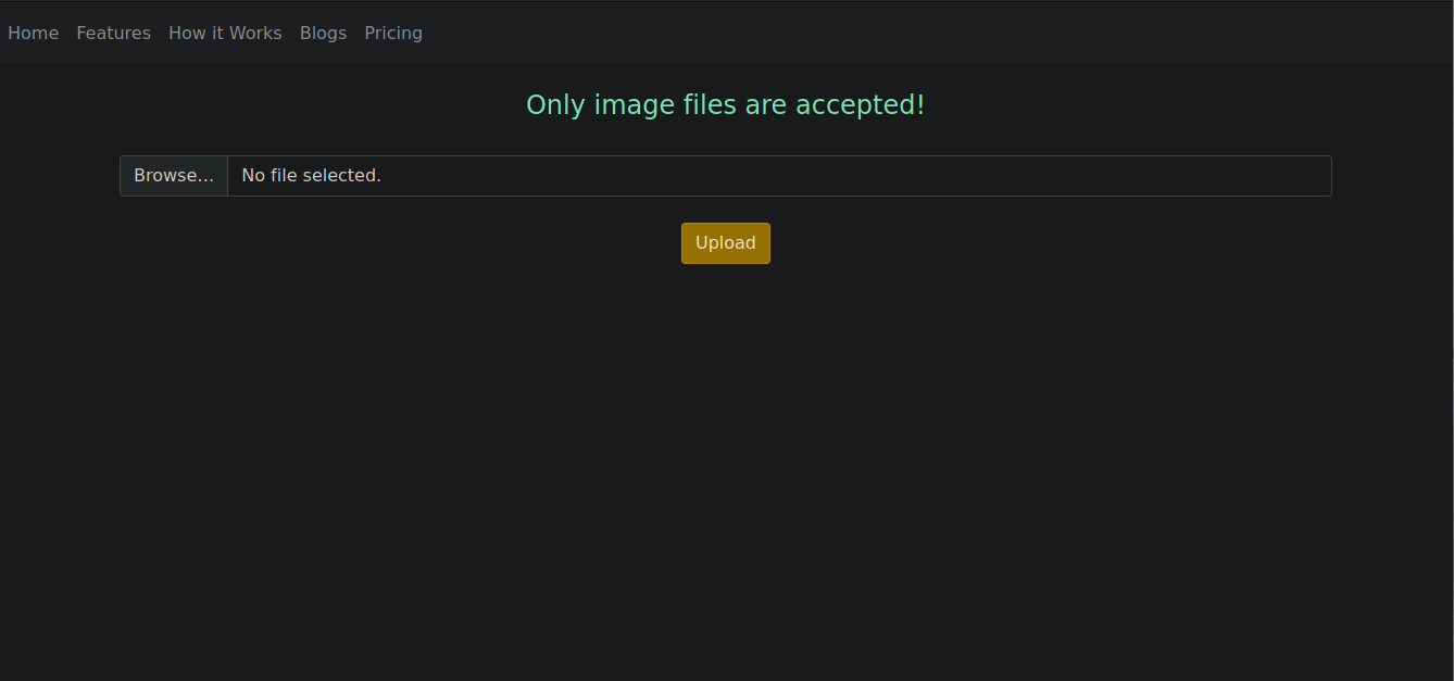no-upload-txt.png