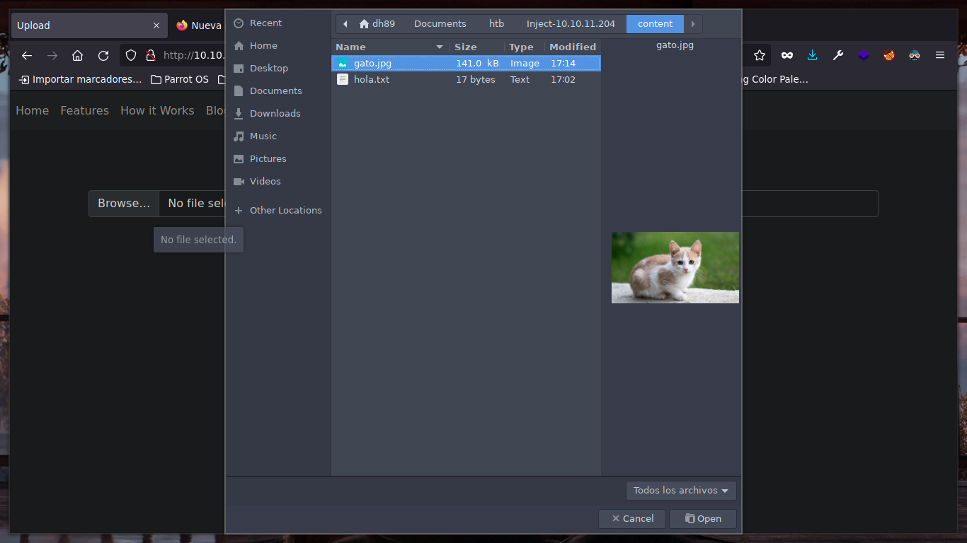 gato.png