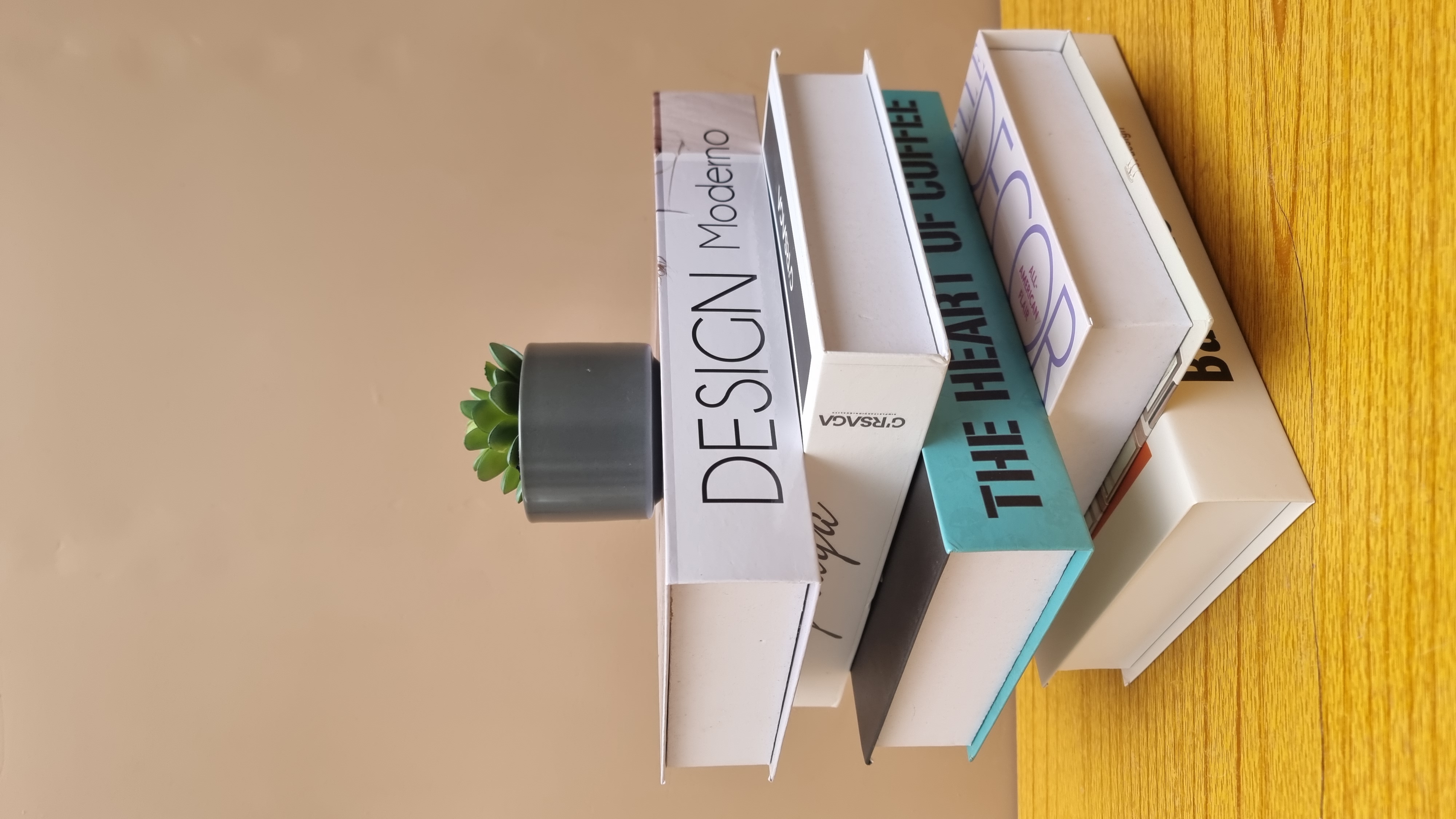 FAUX LIVRES DECORATIFS
