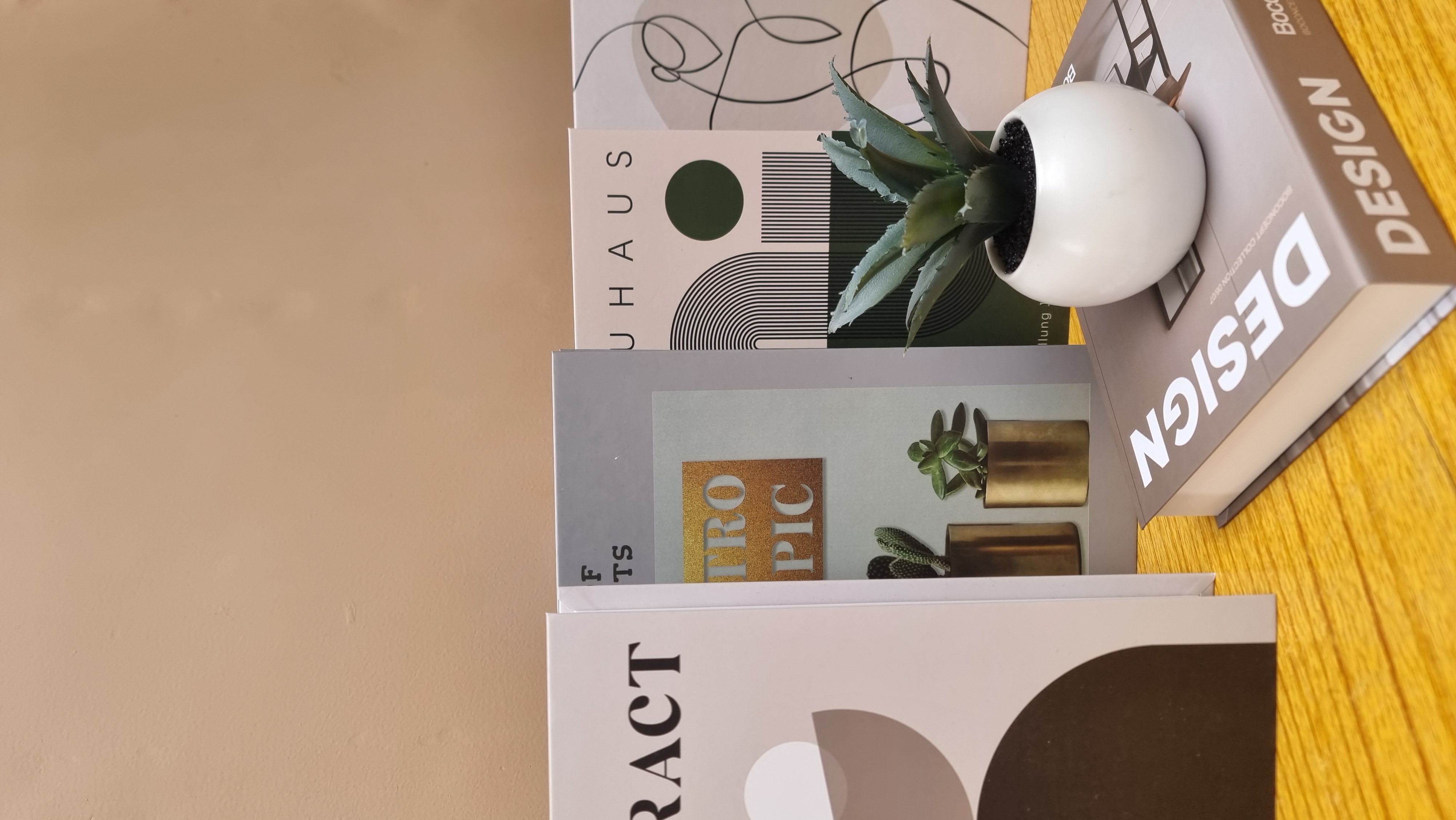 FAUX LIVRES DECORATIFS