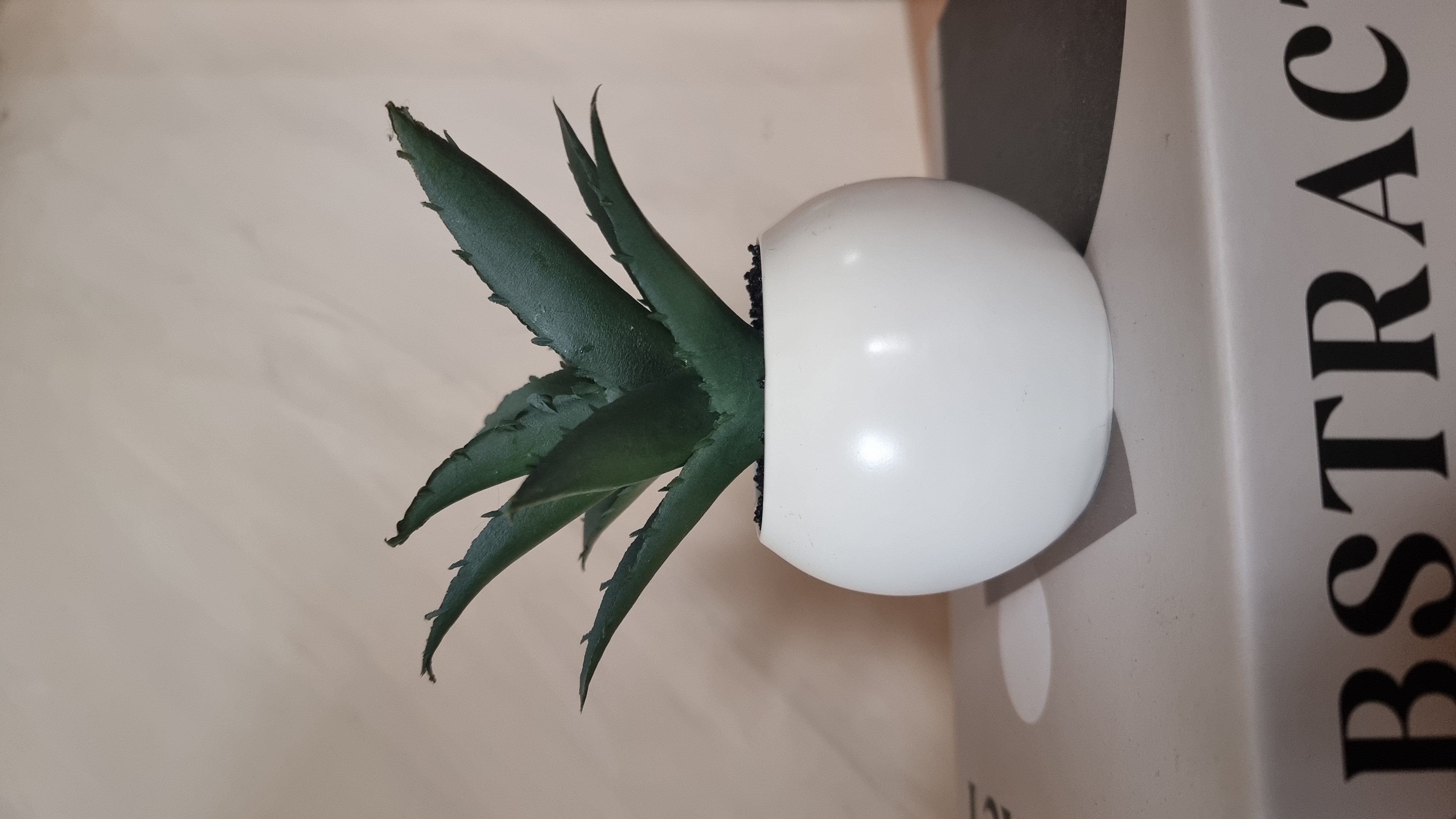 POT DE FLEUR EN CERAMIQUE BLANC
