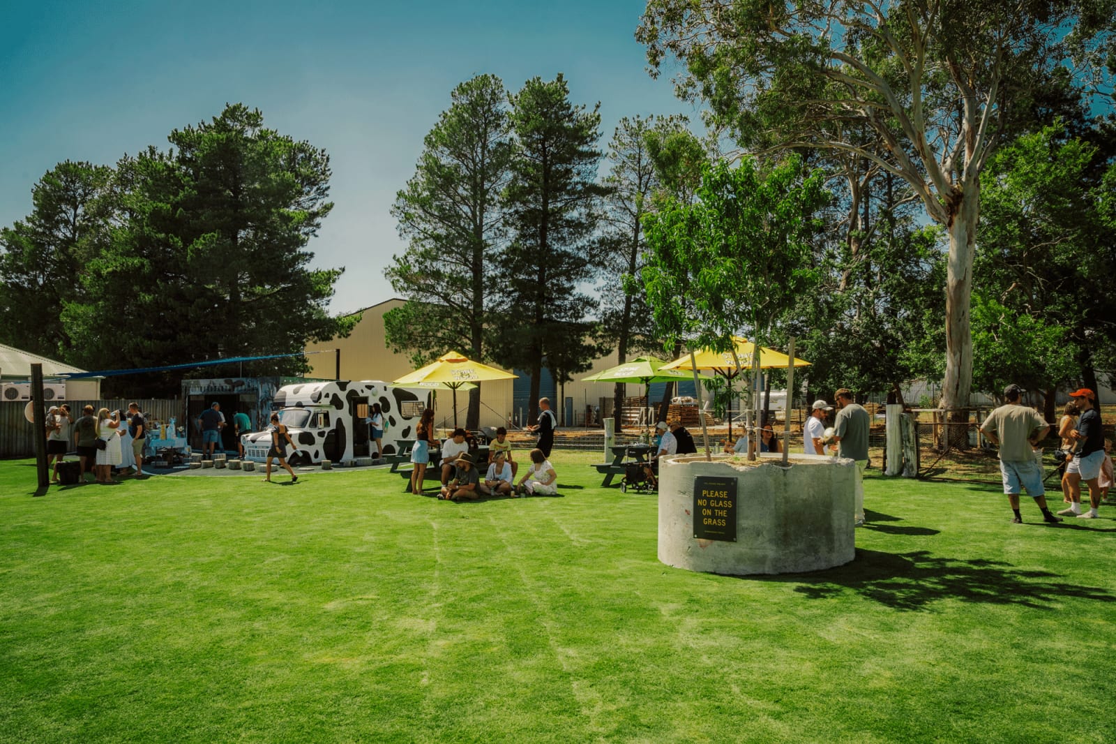 The Lawn at Burgermaker