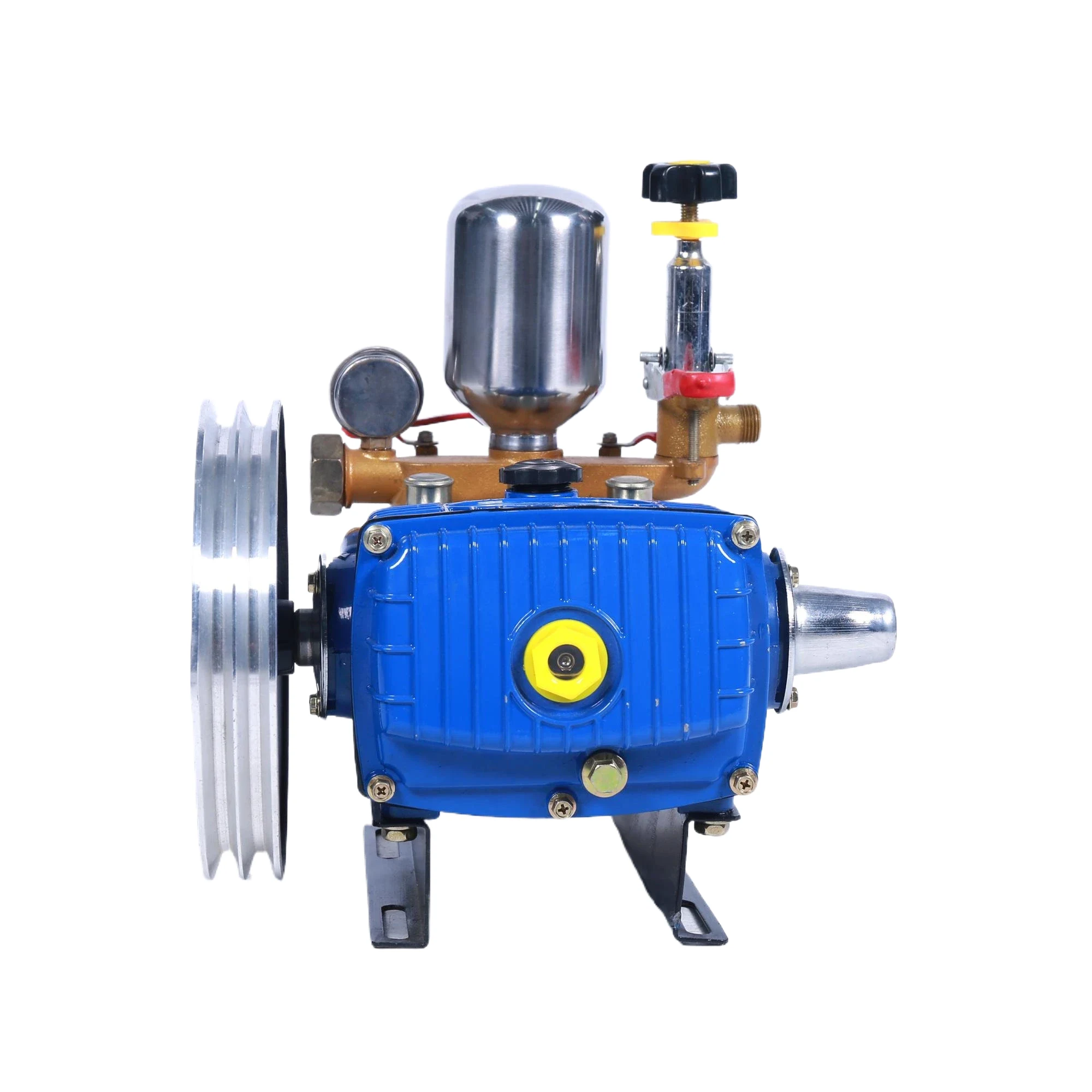Sprayer Pump BS-45S 2