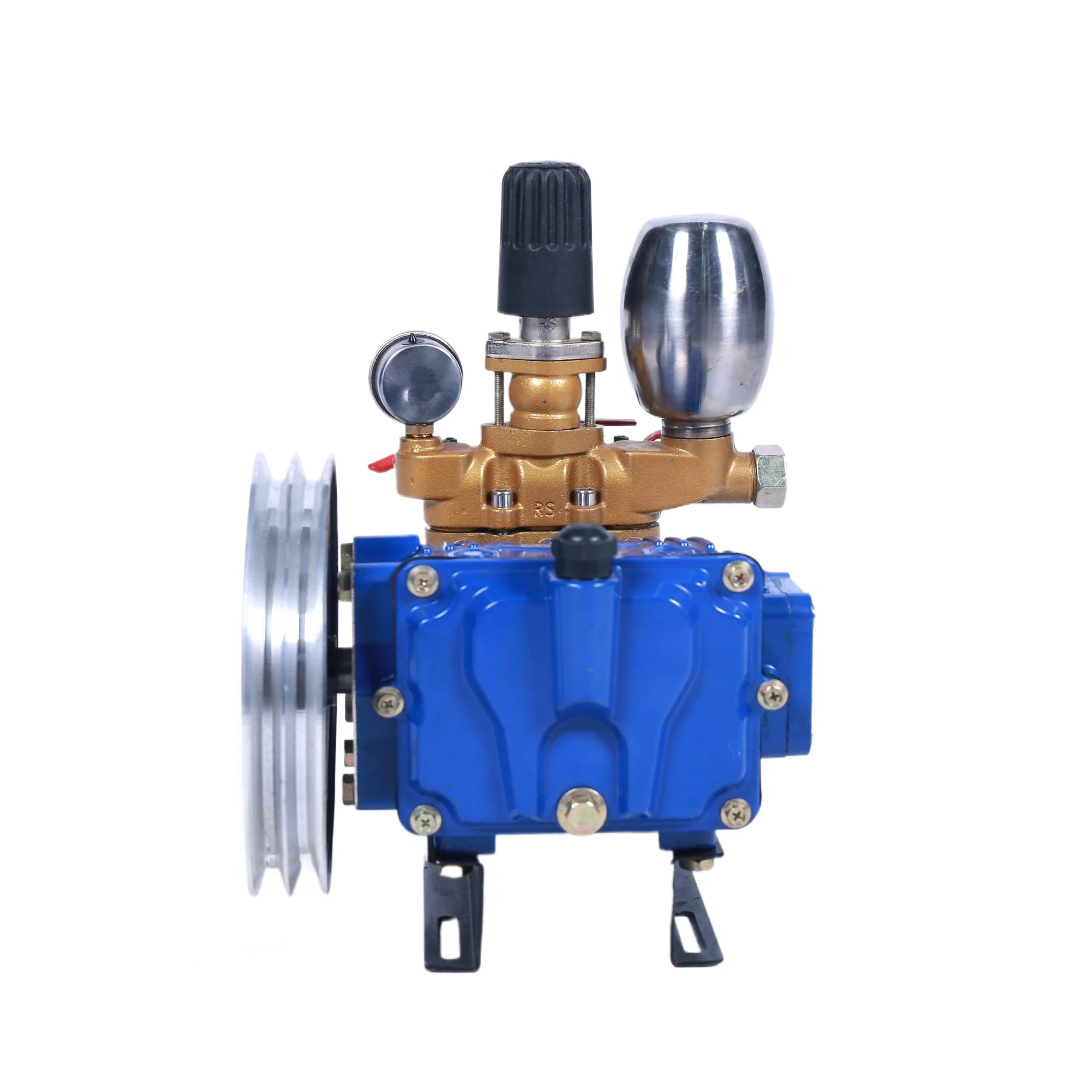 Sprayer Pump BS-650D 2