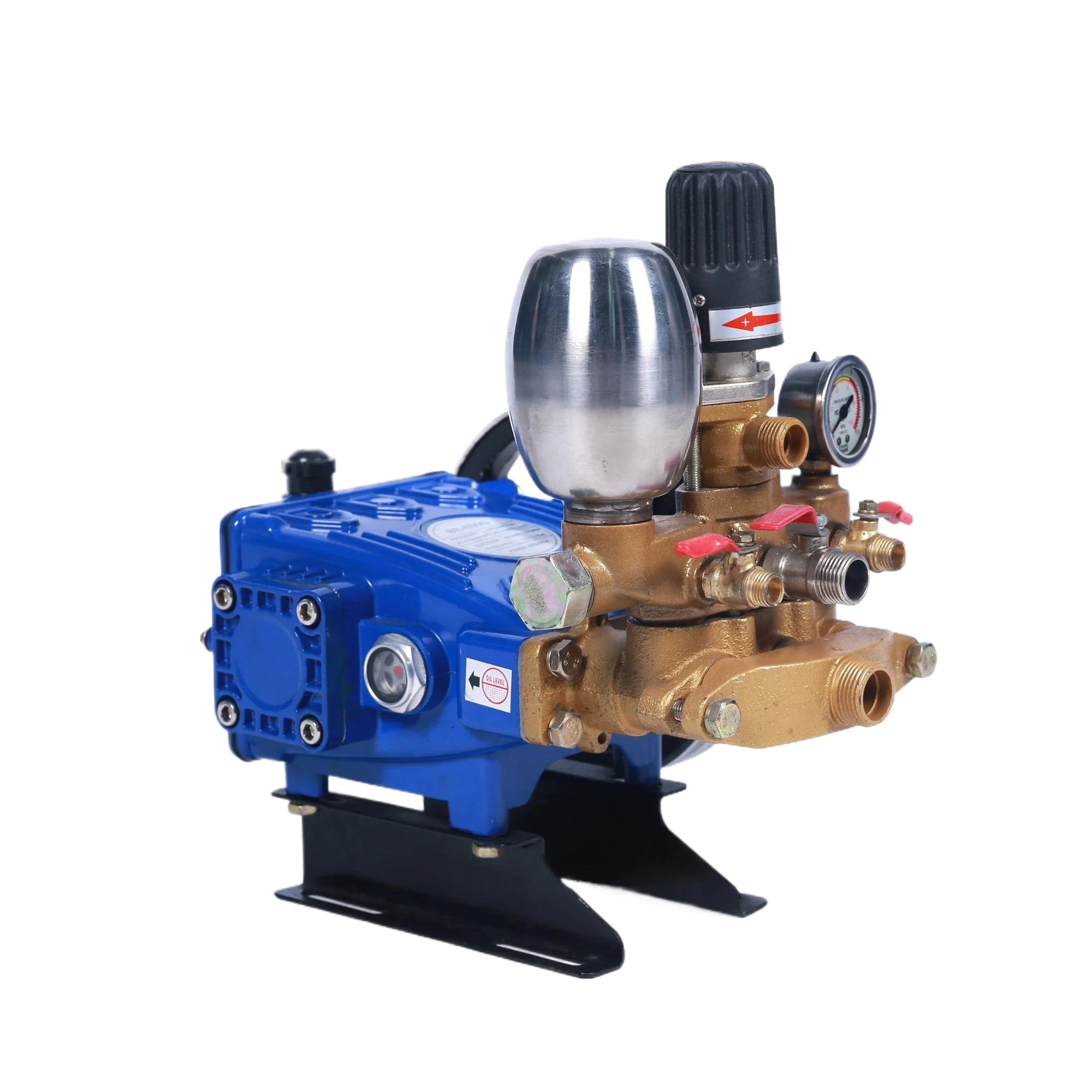 Sprayer Pump BS-650D 4