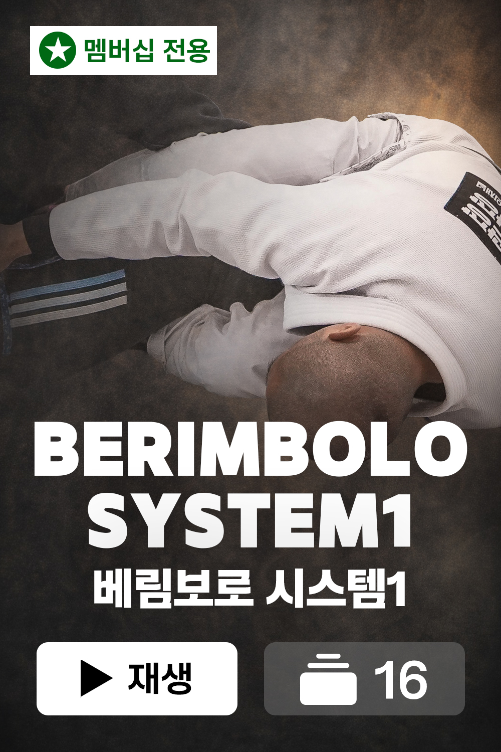 배림보로베이직