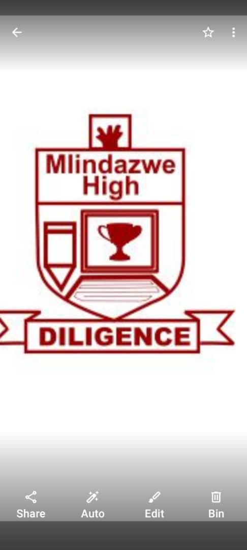 Mlindazwe High logo