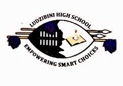 Ludzibini High School logo