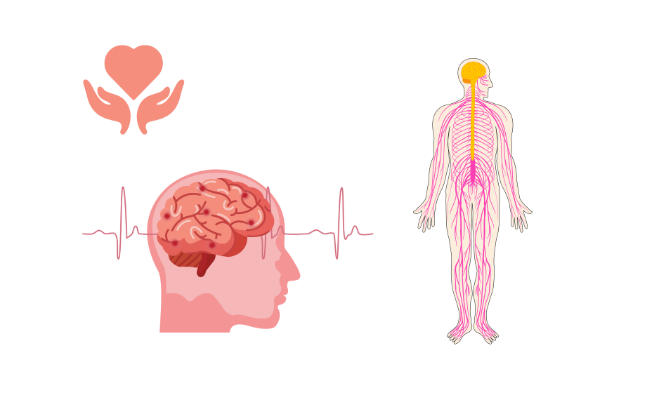 Neuro Electrophysiology