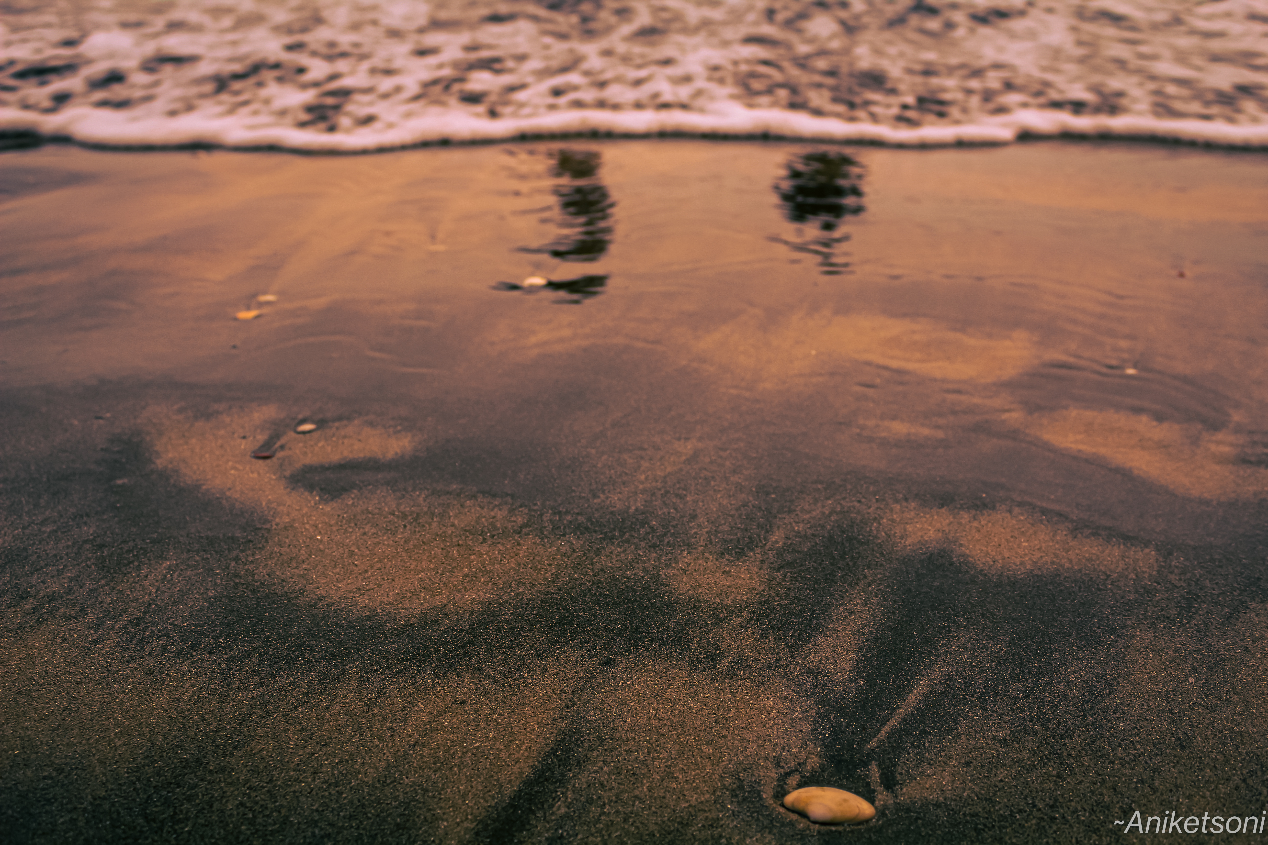 Nature photography by Aniket Soni