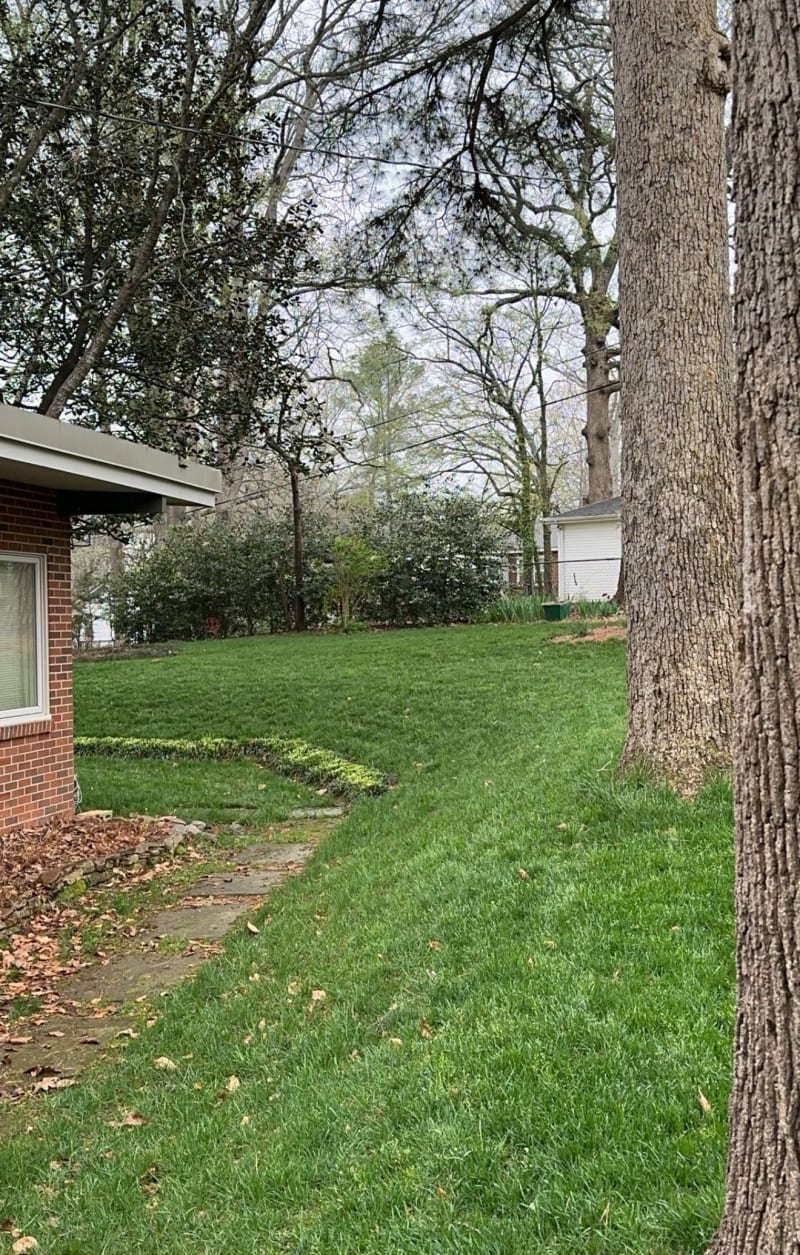 Thick green lawn curving past the corner of a brick house, under tall trees just coming into leaf