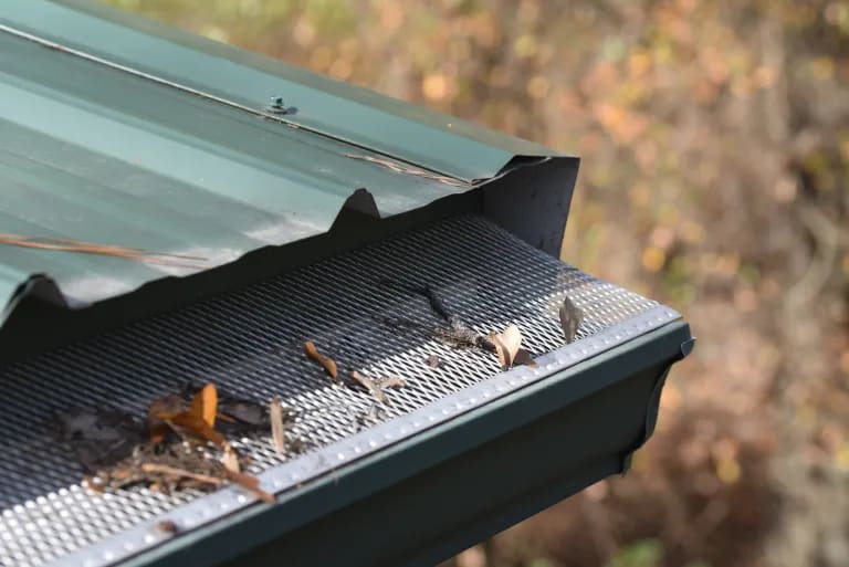 Micro-mesh gutter guard installed, with leaves resting on top of the mesh
