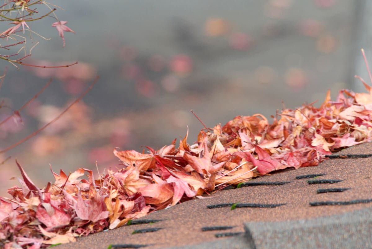 Seasonal Gutter Maintenance Guide for North Alabama Homeowners