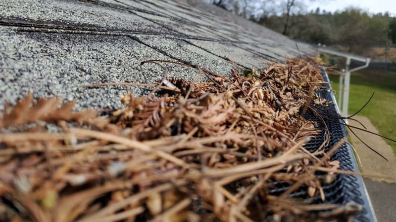 Clogged gutter filled with leaves and debris