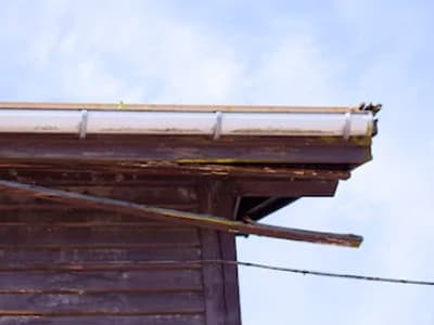 Rotten Wood Repair in Ardmore