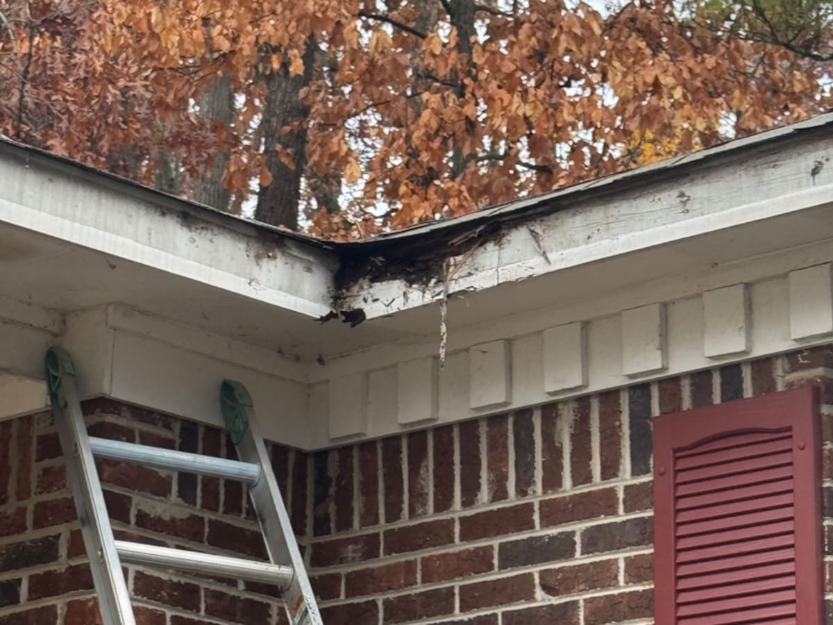 Rotten Wood Repair in Madison, AL — Photo 6