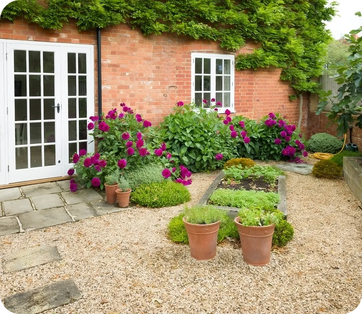 Backyard Landscaping