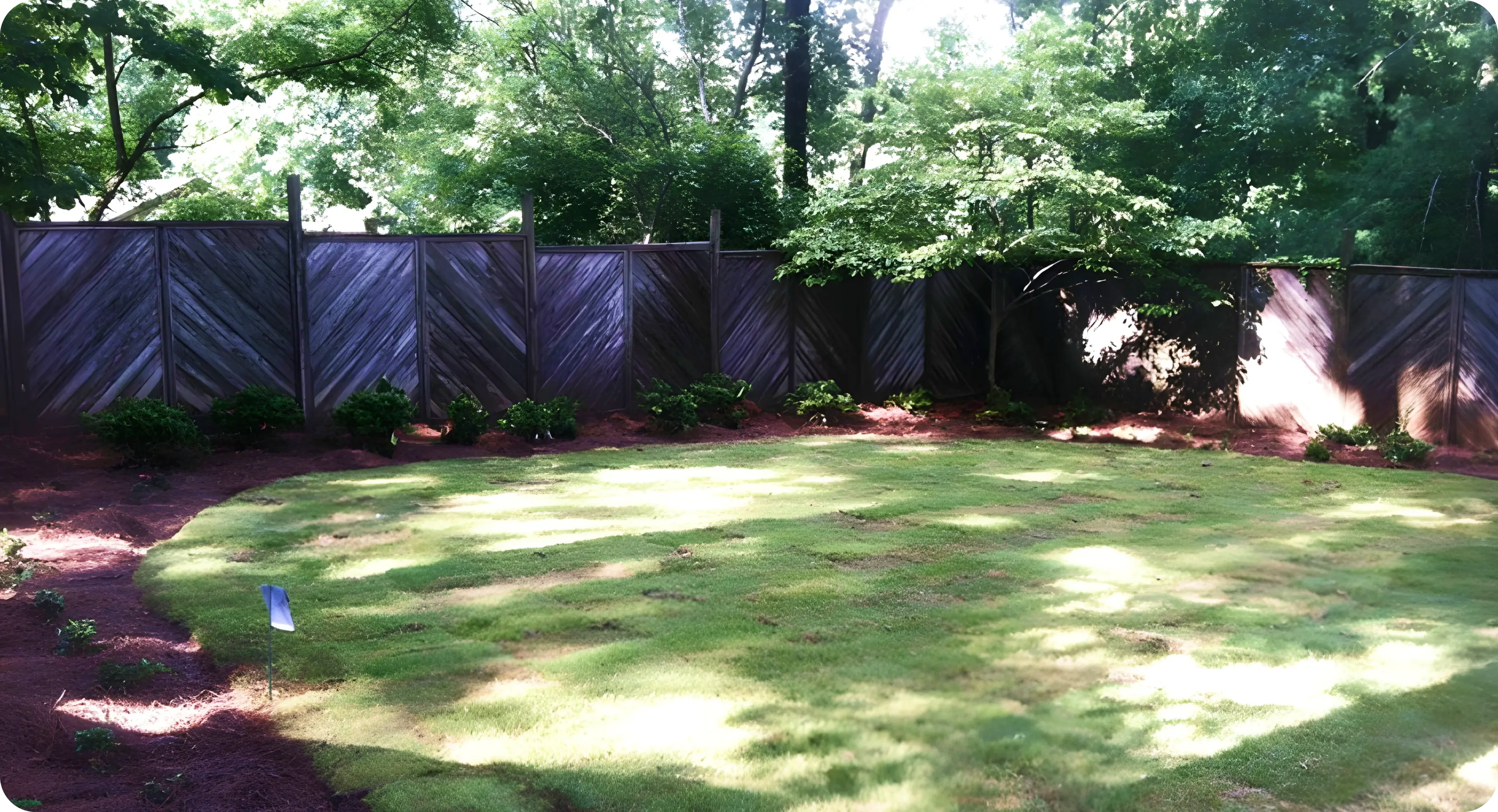 Backyard Landscaping