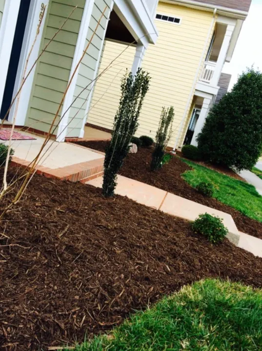 Backyard Landscaping