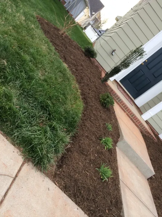 Landscape Consultation