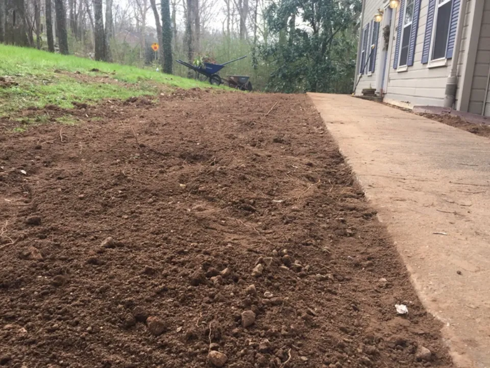 Backyard Landscaping