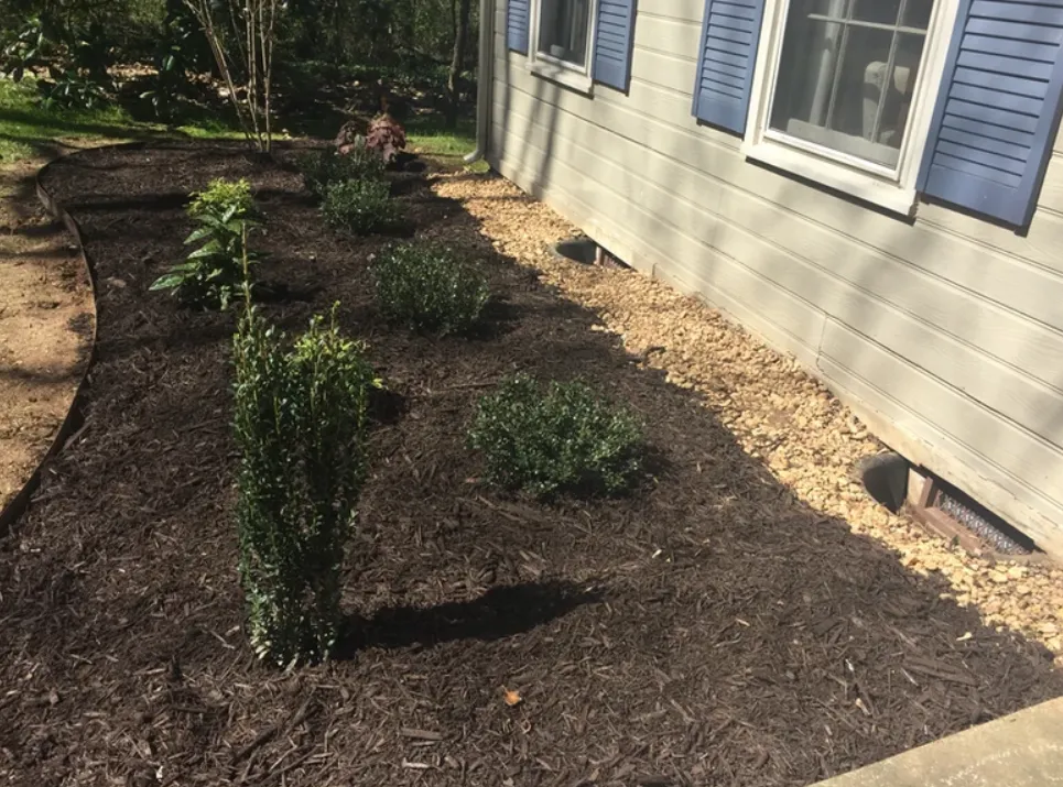 Landscape Consultation