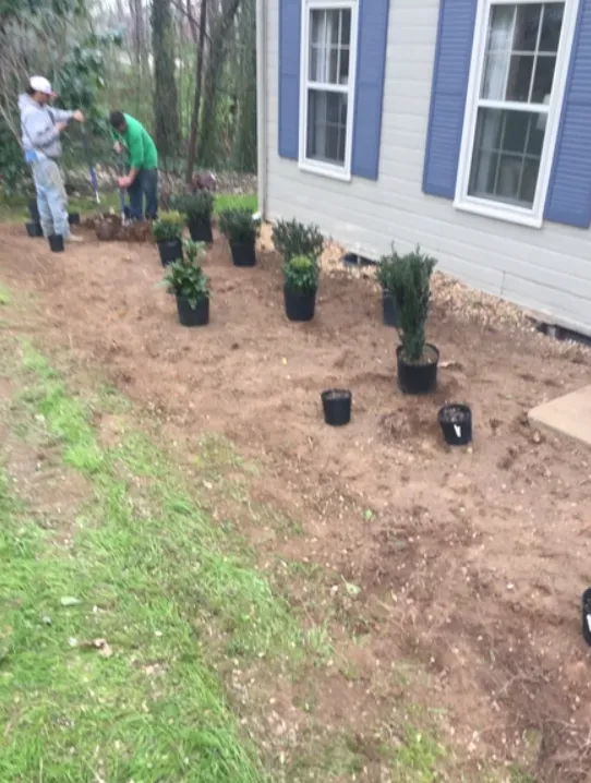 Landscape Edging Services