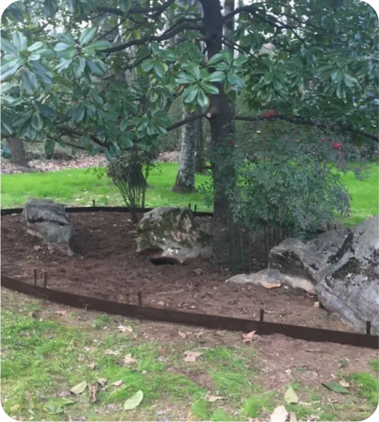 Hardscaping in Huntsville