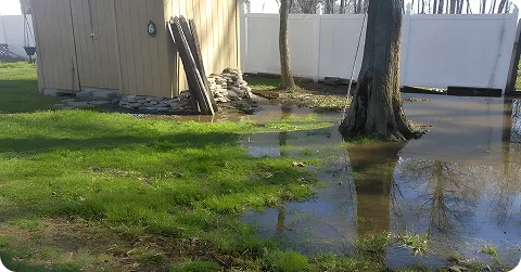 Softscape Landscaping