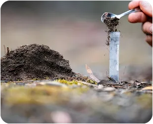 Hardscaping Contractors