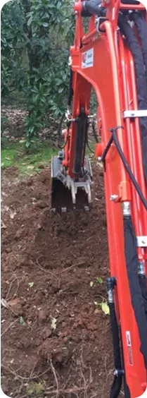 Sod Installation