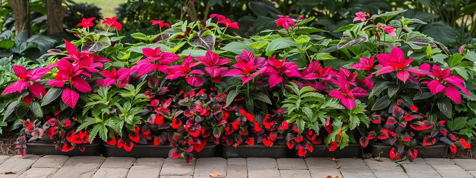 Best Low Maintenance Plants for Alabama