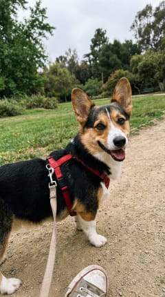 Nicole's photo of Winnie