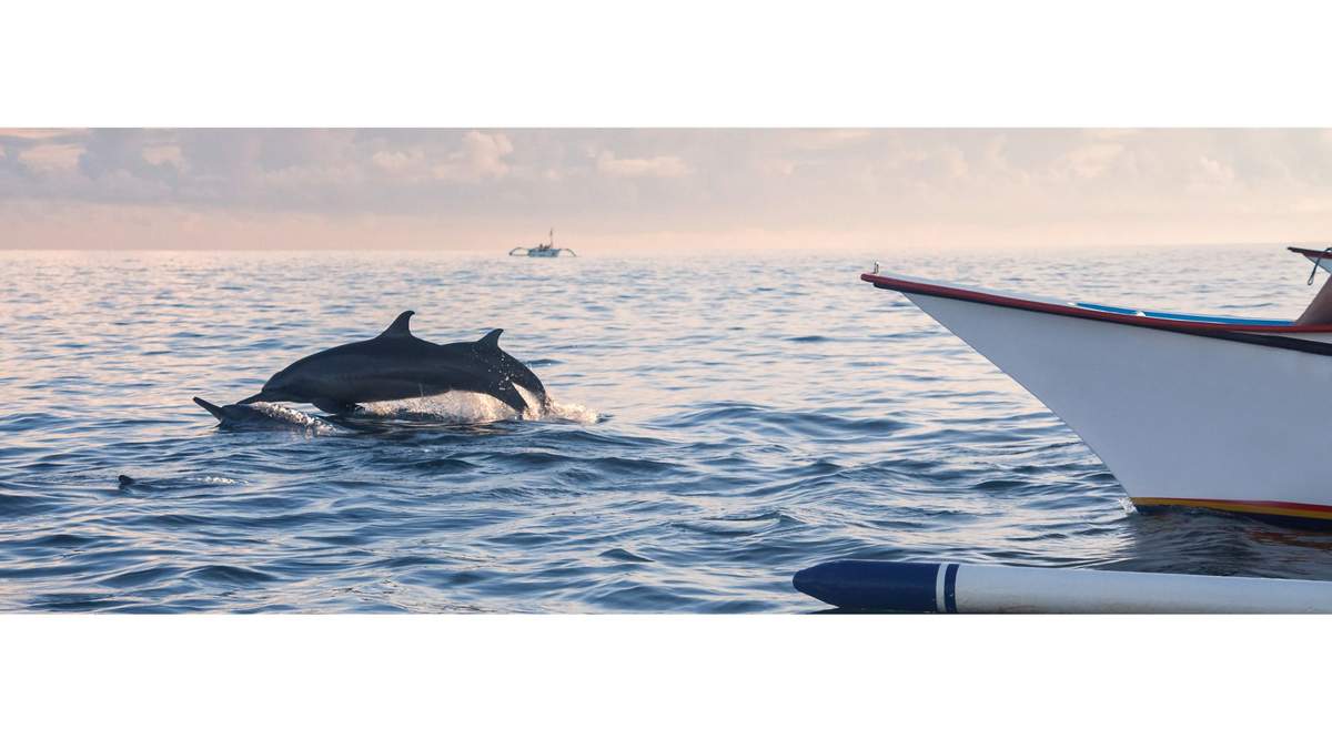 Beautiful Thailand Landscape