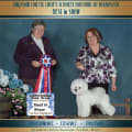 Dalnavert-Luvit Kennels - 2nd Grand Champion in 6 days!