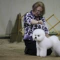 Fort Garry Kennel Club Show Oct. 6 - 8 2012
