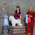 FORT GARRY SHOW RESULTS..........OCTOBER 12, 2013