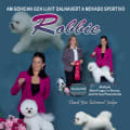 ROBBIES IS # 2 BICHON FRISE IN CANADA...