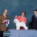 NORTHWINDS DOG SHOW'S NEW CHAMPION