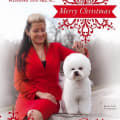 MERRY CHRISTMAS TO EVERYONE FROM DALNAVERT AND LUVIT BICHON FRISE !